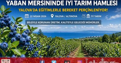 Yalova’da Yaban Mersini Seferberliği: Üreticilere “İyi Tarım” ve İş Güvenliği Eğitimi…