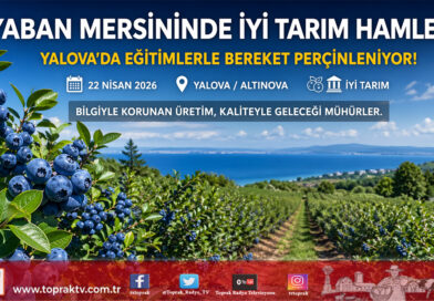 Yalova’da Yaban Mersini Seferberliği: Üreticilere “İyi Tarım” ve İş Güvenliği Eğitimi…