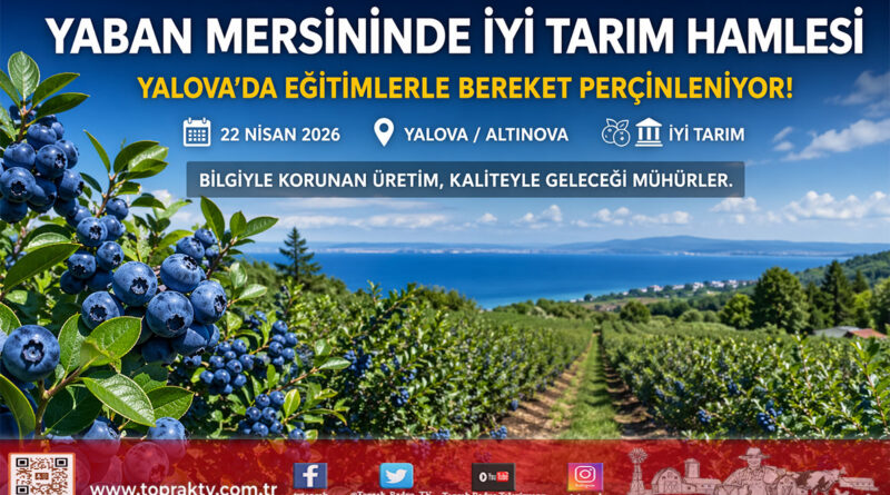 Yalova’da Yaban Mersini Seferberliği: Üreticilere “İyi Tarım” ve İş Güvenliği Eğitimi…