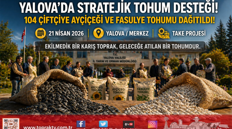 Yalova’da Stratejik Tohum Desteği: 104 Çiftçi Ayçiçeği ve Fasulye Tohumuna Kavuştu…