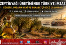 Küresel Pazarda Türkiye İmzası: Zeytinyağı Üretiminde Dünya Gücü Oluyoruz…