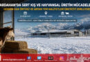 Ardahan’da Kış Mesaisi Uzadı: Yem Maliyetleri ve Sert İklim Koşulları Üreticiyi Zorluyor…