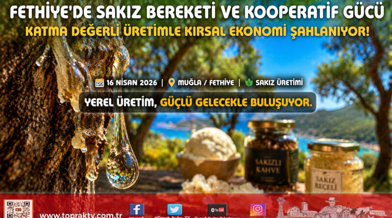 Fethiye’de Sakız Ağacı Dönüşümü: Kooperatif Gücüyle Gelen Katma Değerli Üretim…