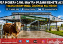 Trakya’nın Yeni Hayvansal Üretim Üssü: Havsa Modern Canlı Hayvan Pazarı Hizmete Açıldı…