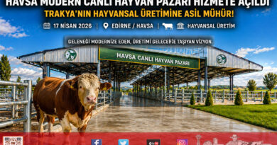 Trakya’nın Yeni Hayvansal Üretim Üssü: Havsa Modern Canlı Hayvan Pazarı Hizmete Açıldı…