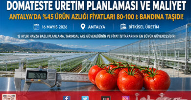 Antalya’da Yaş Sebze Sektöründen Çağrı: Domateste Üretim Planlaması Fiyat Dengesi İçin Şart…