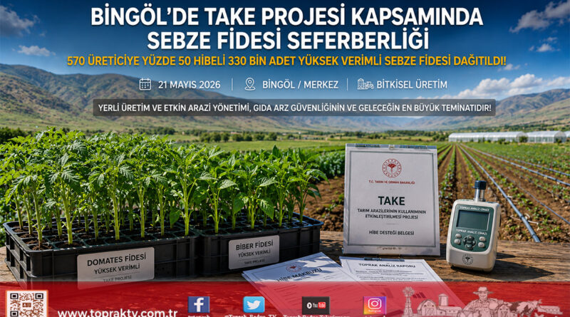 Bingöl’de TAKE Projesiyle 330 Bin Sebze Fidesi Toprakla Buluşuyor: ₺3 Milyonluk Makro Yatırım…