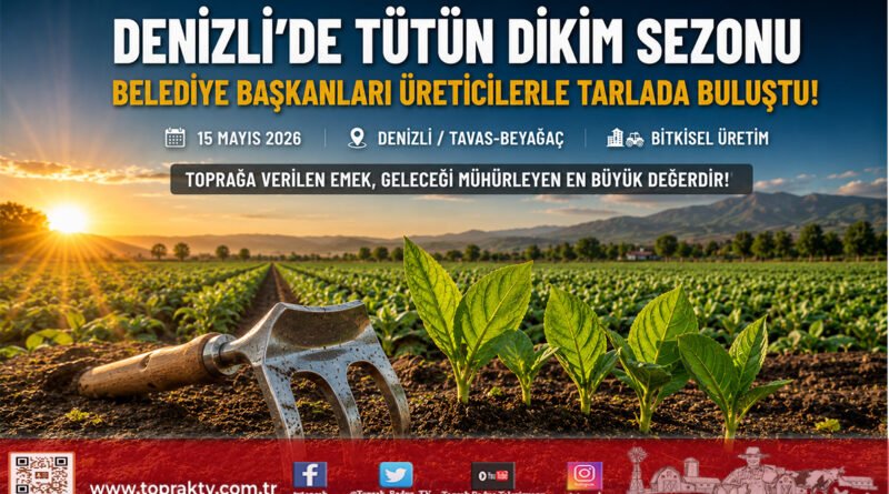 Tavas ve Beyağaç Belediye Başkanları Üreticilerle Birlikte Tütün Dikti…