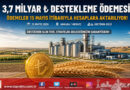Tarım ve Orman Bakanlığı’ndan Üreticiye Dev Destek: 3,7 Milyar ₺ Hesaplara Aktarılıyor…