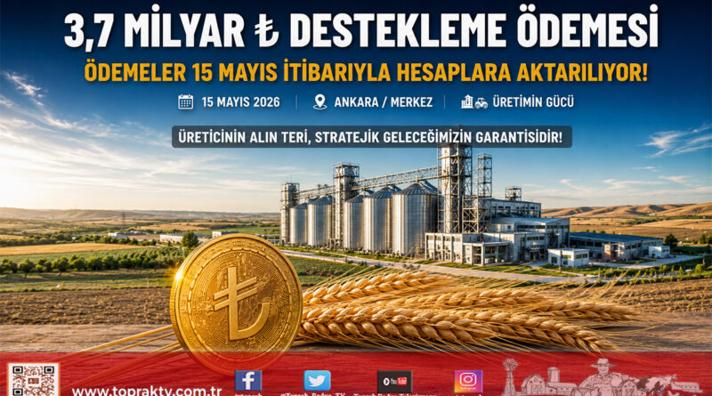 Tarım ve Orman Bakanlığı’ndan Üreticiye Dev Destek: 3,7 Milyar ₺ Hesaplara Aktarılıyor…
