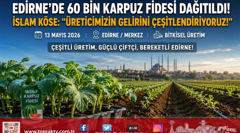 Edirne’de Karpuz Üretimine Büyük Destek: 63 Üreticiye 60 Bin Fide Teslim Edildi…