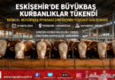 Eskişehir’de Büyükbaş Kurbanlıklar Tükendi: Üretici Bekir Türkmen’den “Son Güne Kalmayın” Uyarısı…
