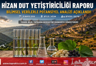 Hizan’ın Dut Yetiştiriciliği Raporu Açıklandı: Potansiyel Yüksek, Teknik Bilgi Eksik…