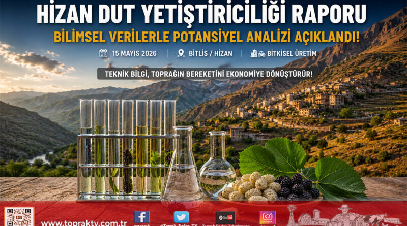Hizan’ın Dut Yetiştiriciliği Raporu Açıklandı: Potansiyel Yüksek, Teknik Bilgi Eksik…