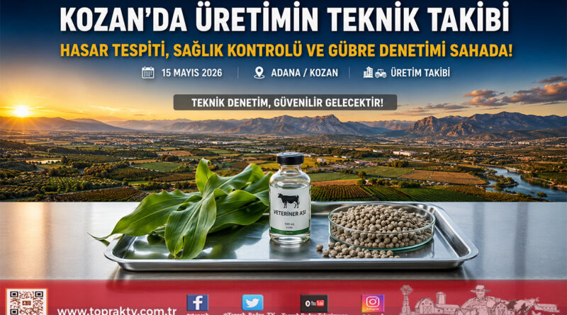 Kozan’da Tarımsal Üretim Mercek Altında: Teknik Ekipler Üç Koldan Sahada