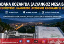 Adana’da Salyangoz Mesaisi Başladı: Kilogramı 35 ₺’den Alıcı Buluyor…