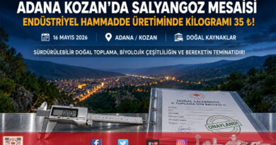 Adana’da Salyangoz Mesaisi Başladı: Kilogramı 35 ₺’den Alıcı Buluyor…