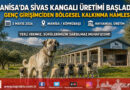 Manisalı Genç Girişimciden Örnek Adım: Fizyoterapist Hasan Yılmaz Sivas Kangalı Yetiştiriciliğine Başladı…