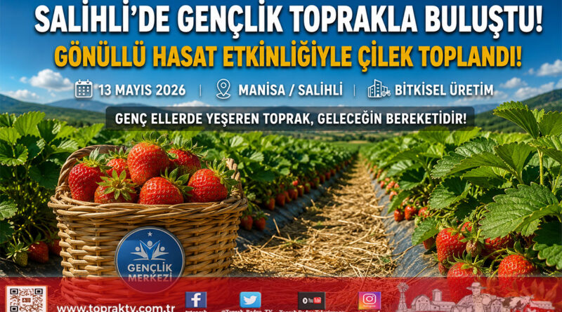 Salihli’de Gönüllü Gençler Toprakla Buluştu: Çilek Hasadında Anlamlı Destek…