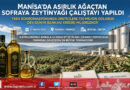 Manisa’da Dev Zeytinyağı Çalıştayı: Sektöre $750 Milyonluk Dünya Bankası Kredisi Müjdelendi…