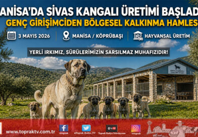 Manisalı Genç Girişimciden Örnek Adım: Fizyoterapist Hasan Yılmaz Sivas Kangalı Yetiştiriciliğine Başladı…