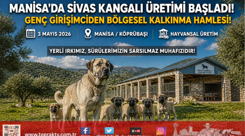 Manisalı Genç Girişimciden Örnek Adım: Fizyoterapist Hasan Yılmaz Sivas Kangalı Yetiştiriciliğine Başladı…