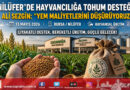 Nilüfer’de Hayvansal Üretime Büyük Destek: 155 Üreticiye Sorgum-Sudan Otu Tohumu Dağıtıldı…