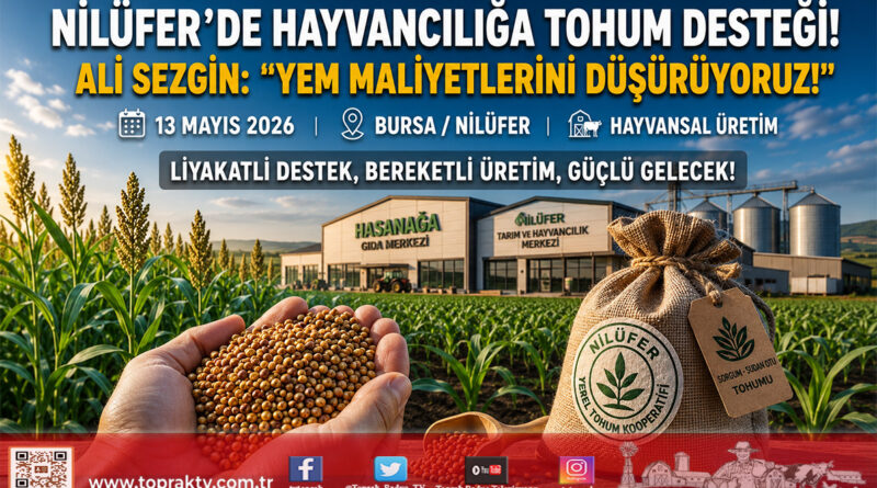 Nilüfer’de Hayvansal Üretime Büyük Destek: 155 Üreticiye Sorgum-Sudan Otu Tohumu Dağıtıldı…