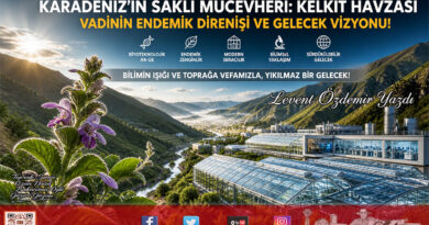 Karadeniz’in Saklı Mücevheri: Kelkit Havzası ve Vadinin Endemik Direnişi…