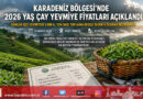 Karadeniz’de 2026 Yaş Çay Yevmiyesi Netleşti: Günlük Bedel 3 Bin ₺ Olarak Belirlendi…