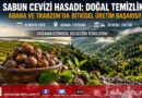Doğal Temizliğin Yeni Rotası: Adana ve Trabzon’da Sabun Cevizi Hasadı Başladı…