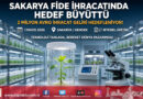 Sakarya Fide İhracatında Hedef Büyüttü: 2 Milyon Avro Gelir Hedefleniyor…