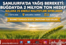 Şanlıurfa’da Bahar Yağmurları Rekolte Beklentisini Artırdı: Buğdayda 2 Milyon Ton Hedefi…