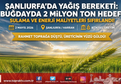 Şanlıurfa’da Bahar Yağmurları Rekolte Beklentisini Artırdı: Buğdayda 2 Milyon Ton Hedefi…