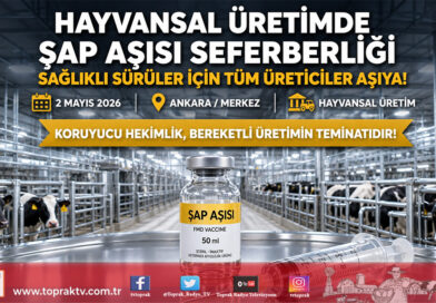 Hayvansal Üretimde Şap Alarmı: Üreticilere “Aşılatma” Çağrısı Yapıldı…