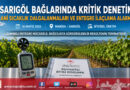 Sarıgöl Bağlarında Kritik Dönem: Teknik Ekiplerden Hava Dalgalanması ve İlaçlama Seferberliği Uyarısı…