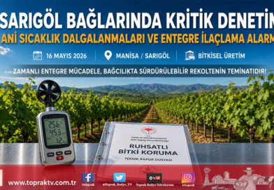 Sarıgöl Bağlarında Kritik Dönem: Teknik Ekiplerden Hava Dalgalanması ve İlaçlama Seferberliği Uyarısı…