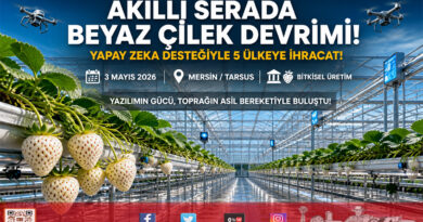 Tarsus’ta Yapay Zeka Destekli Üretim: Beyaz Çilek 5 Ülkeye İhraç Ediliyor…