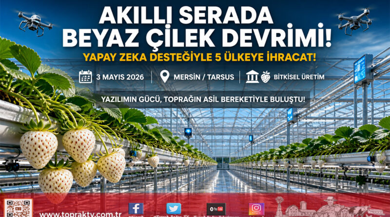 Tarsus’ta Yapay Zeka Destekli Üretim: Beyaz Çilek 5 Ülkeye İhraç Ediliyor…