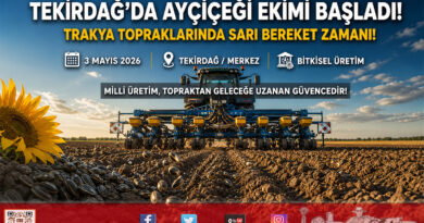 Tekirdağ’da Ayçiçeği Ekim Mesaisi: Tohumlar Toprakla Buluşuyor…