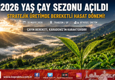 Trabzon’da 2026 Yılı Yaş Çay Sezonu Dualarla Açıldı: Stratejik Üretimde Yeni Dönem…