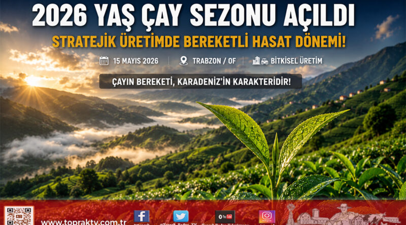 Trabzon’da 2026 Yılı Yaş Çay Sezonu Dualarla Açıldı: Stratejik Üretimde Yeni Dönem…