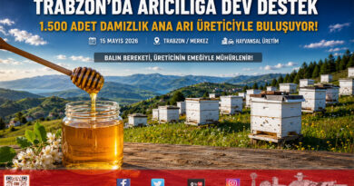Trabzon’da Arıcılık Faaliyetlerine Büyükşehir Desteği: 1.500 Adet Damızlık Ana Arı Dağıtılacak…