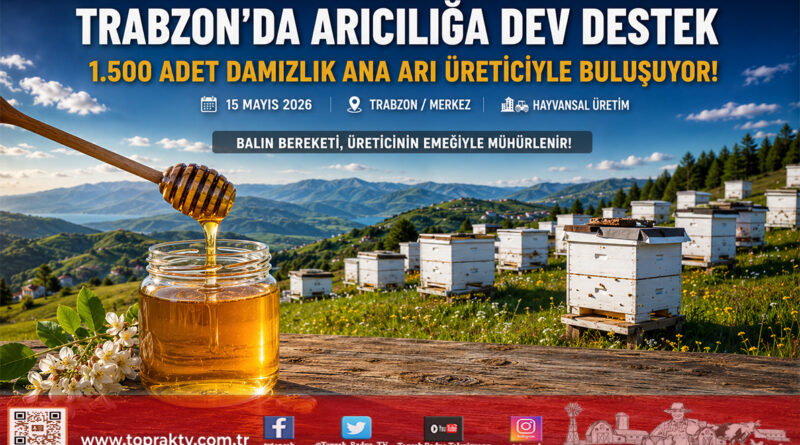 Trabzon’da Arıcılık Faaliyetlerine Büyükşehir Desteği: 1.500 Adet Damızlık Ana Arı Dağıtılacak…