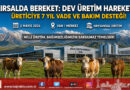 Kırsalda Bereket Seferberliği: Van’da Dev Düve Teslimatıyla Hayvansal Üretim Şahlanıyor…