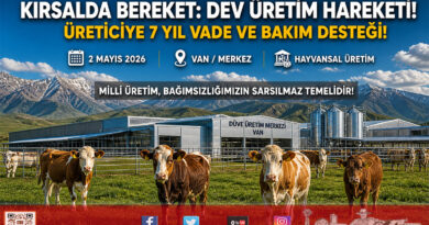 Kırsalda Bereket Seferberliği: Van’da Dev Düve Teslimatıyla Hayvansal Üretim Şahlanıyor…