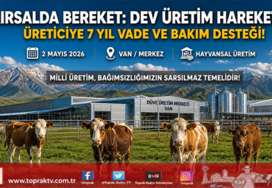 Kırsalda Bereket Seferberliği: Van’da Dev Düve Teslimatıyla Hayvansal Üretim Şahlanıyor…