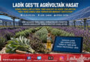 Güneşten Enerji Topraktan Bereket: Samsun Ladik GES Sahasında Agrivoltaik Tarımla Tıbbi Bitki Hasadı Başladı!…