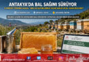 Antakya’da Bal Sağım Sezonu: İl Müdürü Türkmen Arılık İşletmelerinde Üretimi Yerinde İnceledi!…