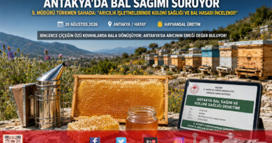 Antakya’da Bal Sağım Sezonu: İl Müdürü Türkmen Arılık İşletmelerinde Üretimi Yerinde İnceledi!…